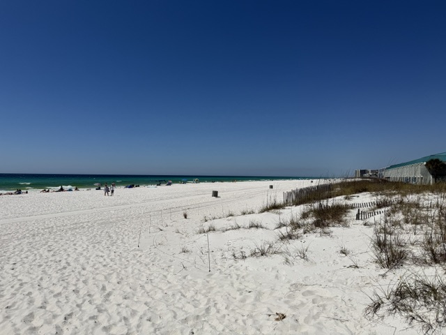 Sugar-white sand dunes and sea oats along Inlet Beach